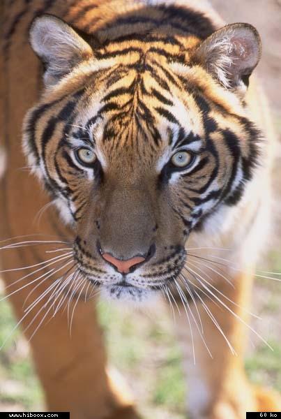 Bonjour et bon vendredi � tous !